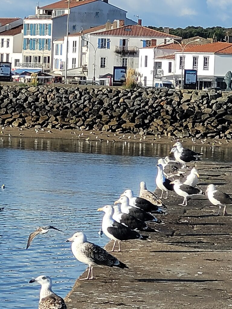 Planning hebdomadaire